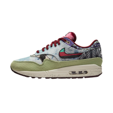 Nike Air Max 1 SP Concepts Mellow