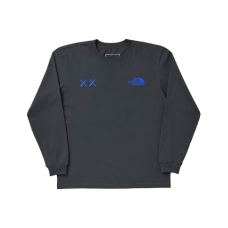 KAWS x The North Face L/S Tee Asphalt Grey