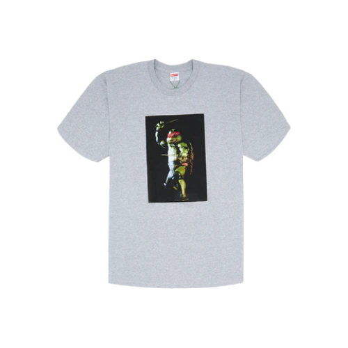 Supreme Raphael Tee Heather Grey