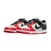 Nike Dunk Low EMB NBA 75th Anniversary Chicago (GS)