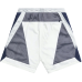 Kith Turbo Short Mist