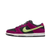 Nike Dunk SB Low Pro ACG Terra Red Plum