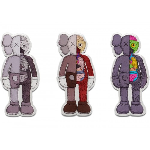 KAWS Dissected Magnet NGV