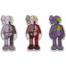 KAWS Dissected Magnet NGV