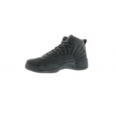 Air Jordan 12 PSNY Silver