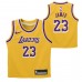 NBA Los Angeles Lakers Lebron James Jersey Kids Size