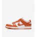 Nike Dunk Syracuse