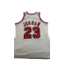 Michael Jordan 1997-98 Mitchell And Ness Jersey