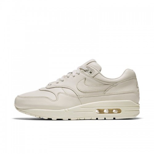 Nikelab Air Max 1 Pinnacle