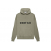 FOG Essentials Knit Pullover Hoodie Pistachio