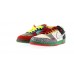 Nike Dunk SB Low What The Dunk