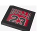 NBA CB Michael Jordan Swingman Jersey