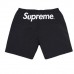 Supreme SS17 Water Shorts