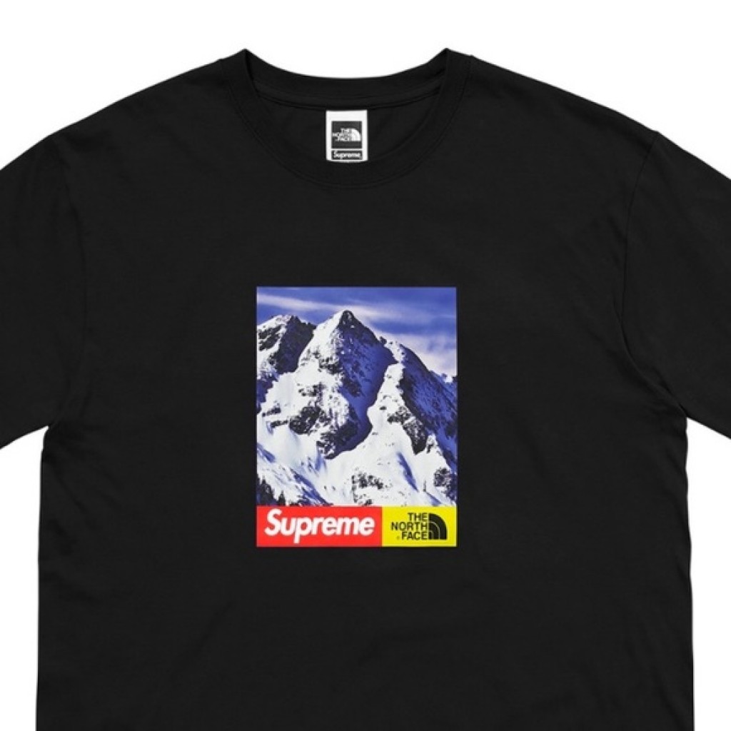 supreme x north face photo tee