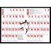 Air Jordan Flight Club Calendar 1991