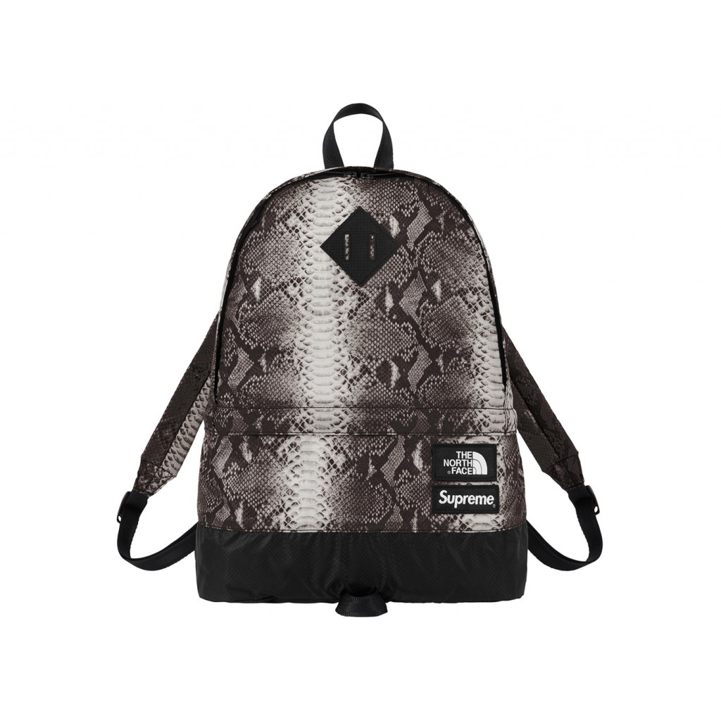 Supreme x The North Face Backpack - Youbetterfly, UAE