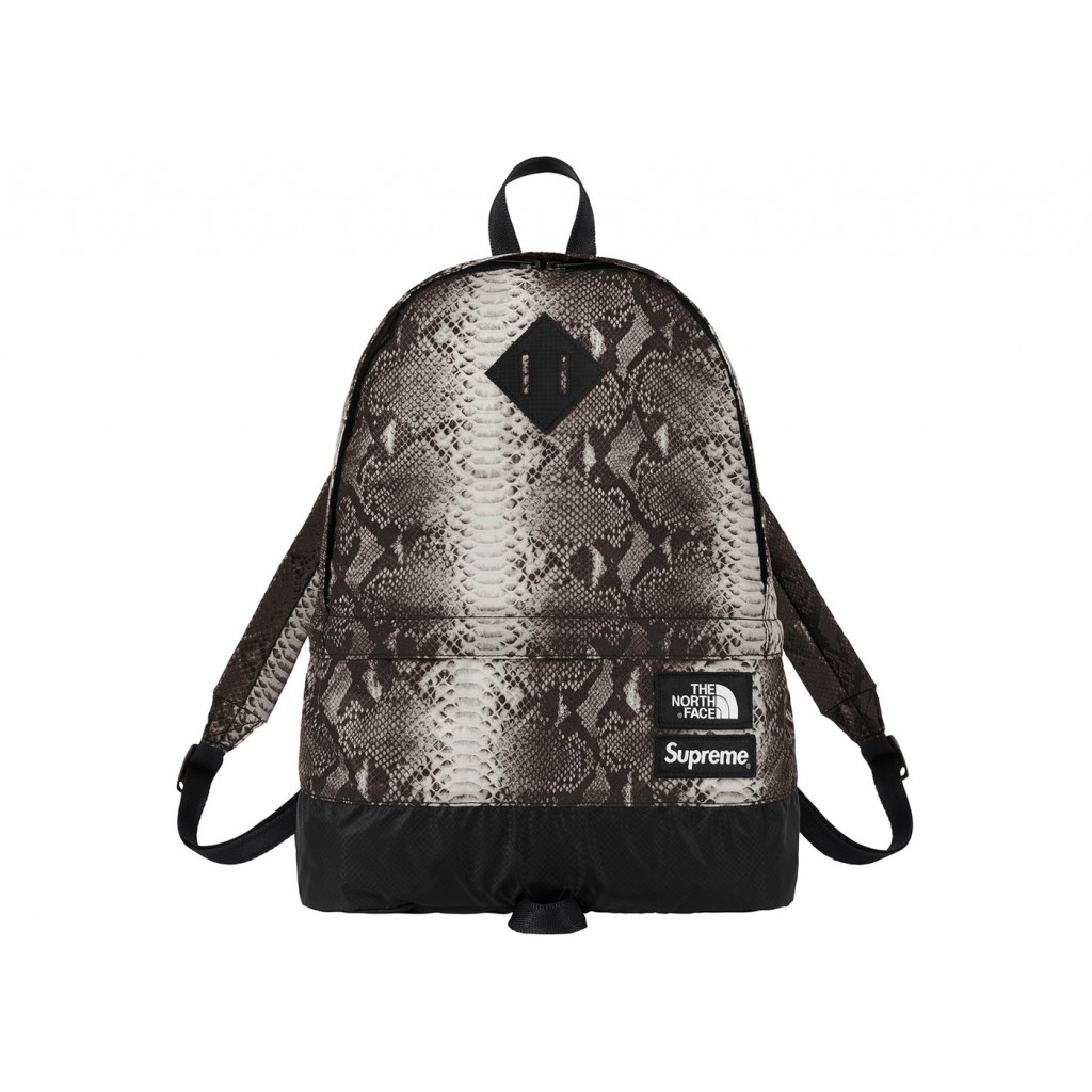 north face backpack purse