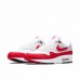 Nike Air Max 1 OG anniversary