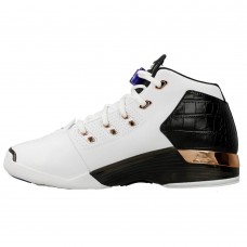 Air Jordan 17 Retro "Copper"